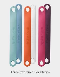 HYDRO FLASK Small Flex Strap Pack