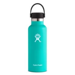 Hydro Flask Standard Mouth Bottle With Standard Flex Cap - 18 Oz|-|Bouteille à Ouverture Standard Avec Bouchon Standard Flex - 18 Onces -Hydro Flask Online HYD S18SX 7EMint