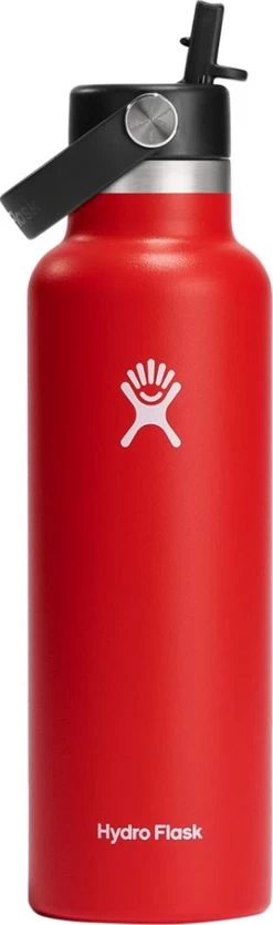 Hydro Flask Standard Mouth Bottle With Standard Flex Straw Cap - 21 Oz|-|Bouteille à Ouverture Standard Avec Bouchon Standard Avec Paille Flex - 21 Onces