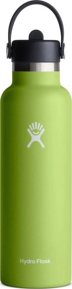 Hydro Flask Standard Mouth Bottle With Standard Flex Straw Cap - 21 Oz|-|Bouteille à Ouverture Standard Avec Bouchon Standard Avec Paille Flex - 21 Onces -Hydro Flask Online HYD S21FS 7ESeagrass 869b73a2 dcf9 4184 8cc7 76bae0fe3a98