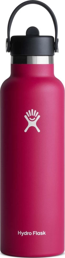 Hydro Flask Standard Mouth Bottle With Standard Flex Straw Cap - 21 Oz|-|Bouteille à Ouverture Standard Avec Bouchon Standard Avec Paille Flex - 21 Onces -Hydro Flask Online HYD S21FS 7ESnapper 82ab4cfd 764d 4114 b1e0 5050294effb4