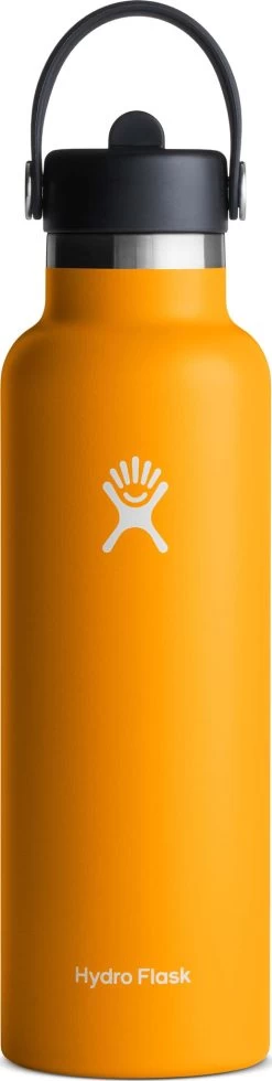 Hydro Flask Standard Mouth Bottle With Standard Flex Straw Cap - 21 Oz|-|Bouteille à Ouverture Standard Avec Bouchon Standard Avec Paille Flex - 21 Onces -Hydro Flask Online HYD S21FS 7EStarfish 28e7b67f db3a 42d1 a4c8 58b5e54a0f34