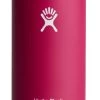Hydro Flask 16oz Cooler Cup-Tallboy - Snapper -Hydro Flask Online Hydro flask 16oz Tallboy Cooler Cup Snapper 1 52800.1658510937
