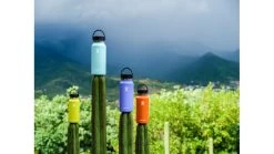 Hydro Flask 32 Oz Wide Flex Cap 19 Hydro Flask 32 Oz Wide Flex Cap -Hydro Flask Online opplanet hydro flask 32 oz wide flex cap lupine 32 oz w32bts474 av 3