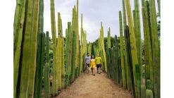 Hydro Flask 40 Oz Wide Flex Cap 29 Hydro Flask 40 Oz Wide Flex Cap -Hydro Flask Online opplanet hydro flask 40 oz wide flex cap dew 40 oz w40bts441 av 4