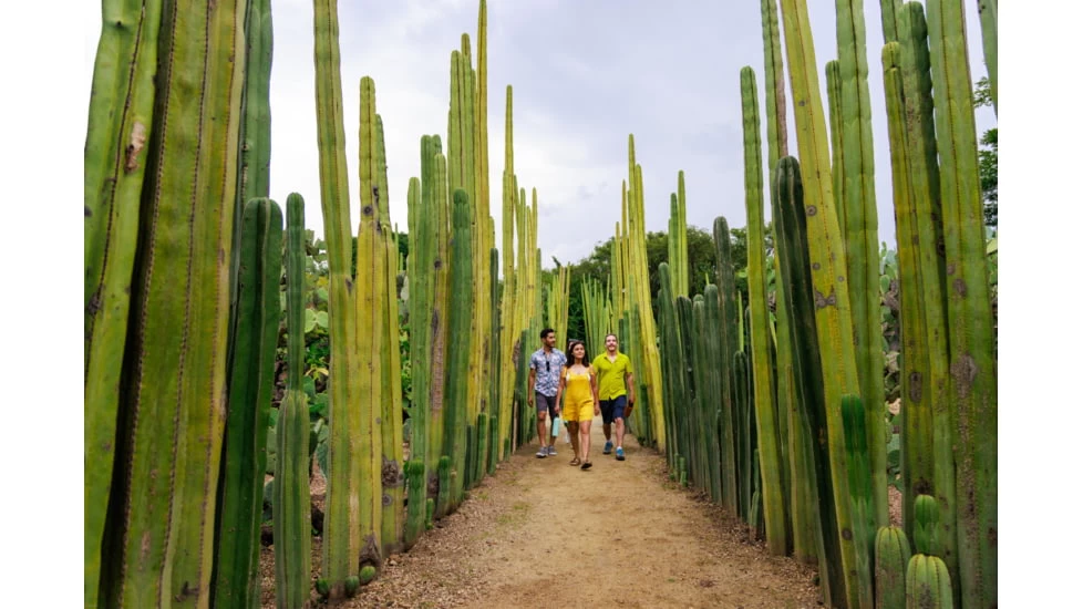 Hydro Flask 40 Oz Wide Flex Cap 14 Hydro Flask 40 Oz Wide Flex Cap - Image 12