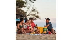 Hydro Flask Insulated 35L Tote -Hydro Flask Online opplanet hydro flask insulated 35l tote blackberry gt35005 hdf 5cs hfwf13 gt35005 v6