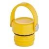 Hydro Flask Standard Flex Cap - Sunflower -Hydro Flask Online sm flex cap sunflower 18891.1594055698