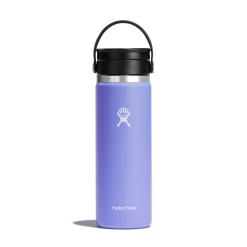 Hydro Flask 20 Oz Coffee Bottle With Flex Sip Lid - Lupine